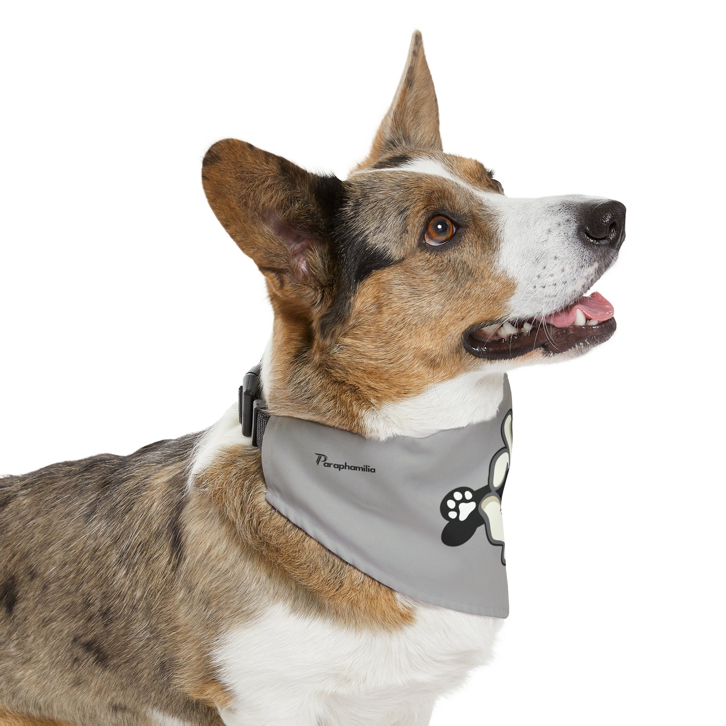 Pet Bandana Collar