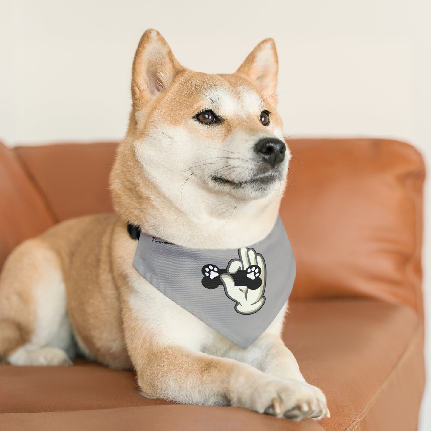 Pet Bandana Collar