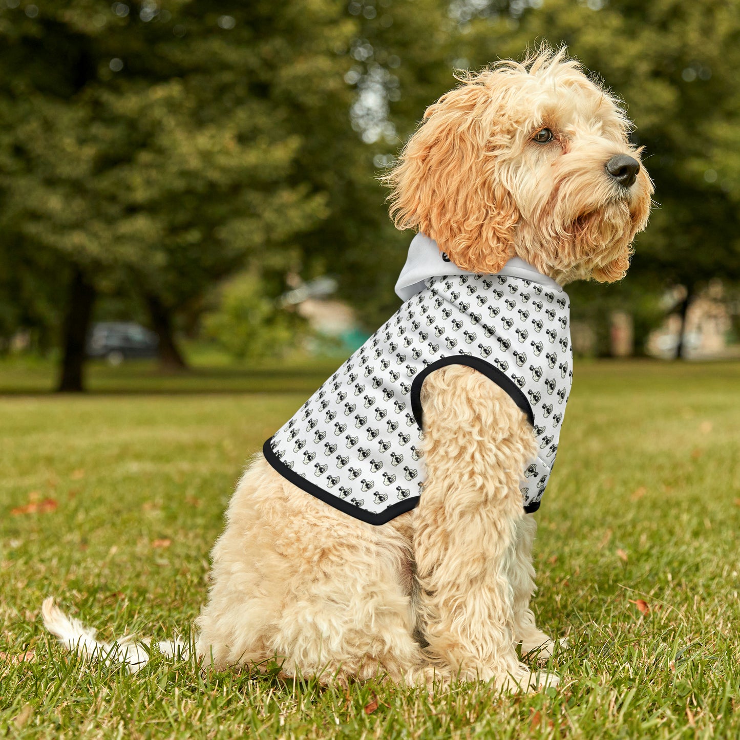 Pet Hoodie